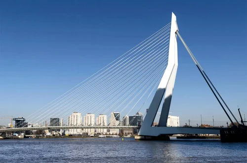 erasmusbrug.jpg